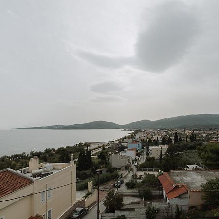 דירות וולוס Niki House מראה חיצוני תמונה