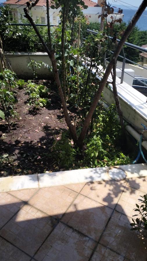 דירות וולוס Niki House מראה חיצוני תמונה