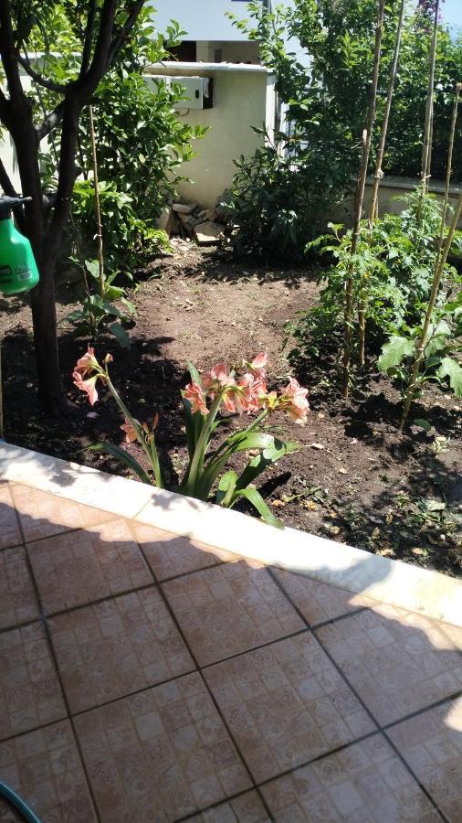 דירות וולוס Niki House מראה חיצוני תמונה